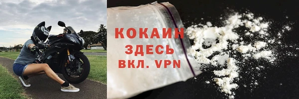 спиды Новозыбков