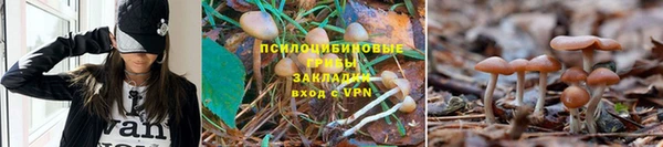 каннабис Новокубанск