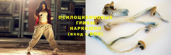 таблы Новодвинск