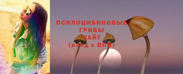 спиды Новозыбков