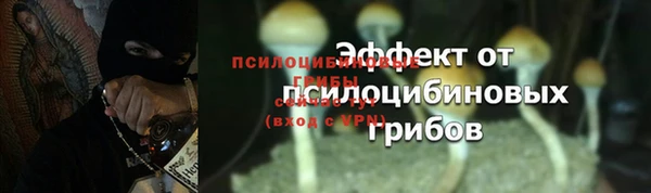 спиды Новозыбков