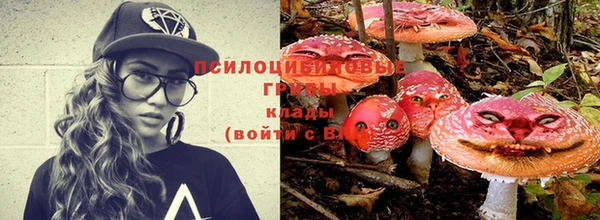 таблы Новодвинск