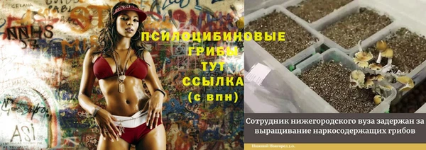 спиды Новозыбков