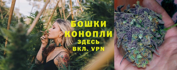 спиды Новозыбков