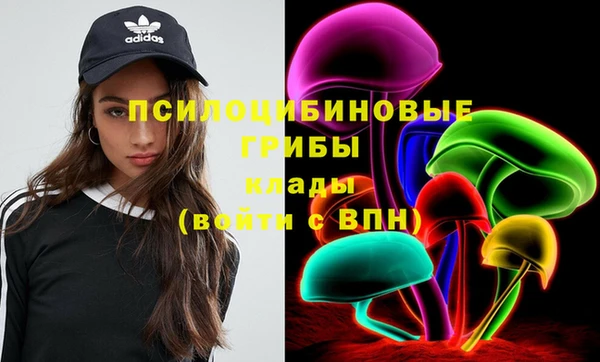 спиды Новозыбков