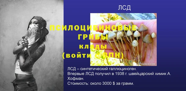 таблы Новодвинск