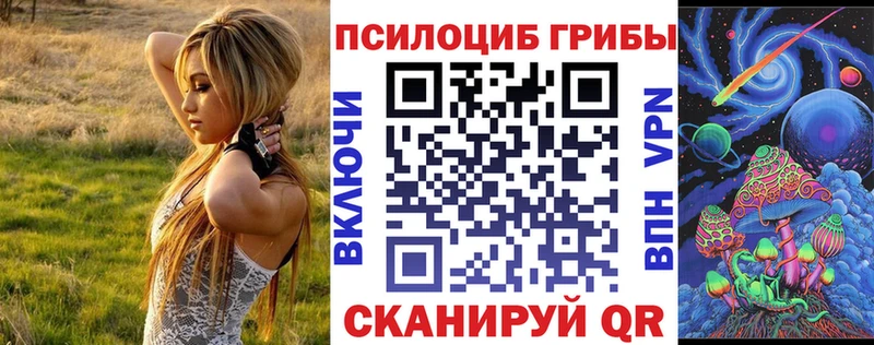 Купить закладки  Инза  Псилоцибиновые грибы GOLDEN TEACHER 
